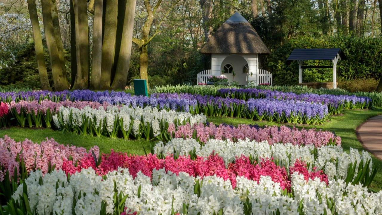 Molecaten Park Noordduinen Katwijk aan Zee Екстер'єр фото