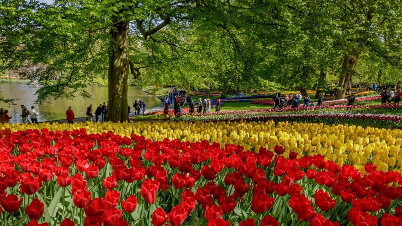 Molecaten Park Noordduinen Katwijk aan Zee Екстер'єр фото